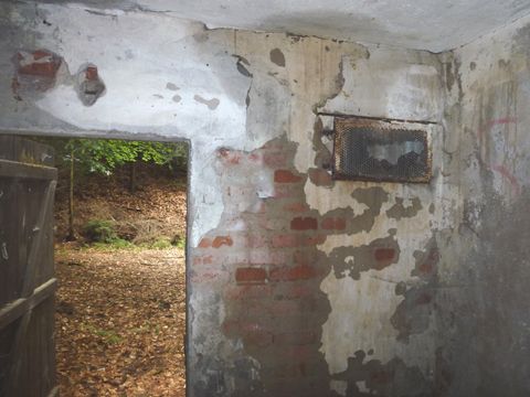 Foto 13